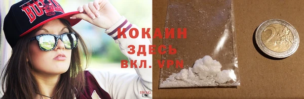 сатива Богородицк
