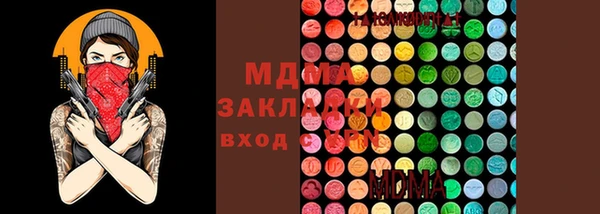 стаф Богородск