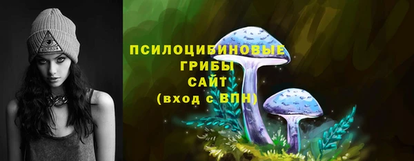 сатива Богородицк
